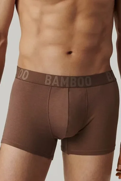 3 PACK boxerky 3MH-215 - bambus - Khaki