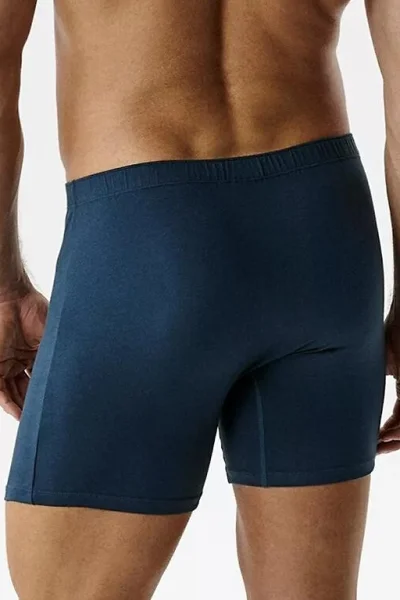2 PACK boxerky 2MH-173/26 - delší nohavička - Modro-černá