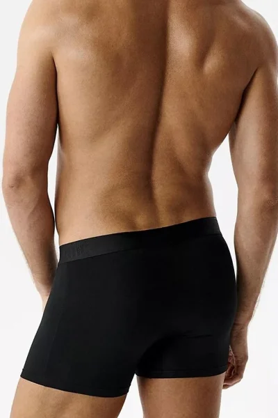 2 PACK boxerky 2MH-1204 - micromodal - Černá