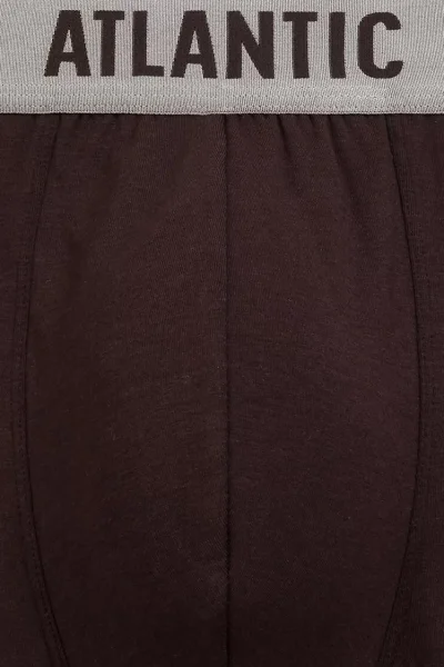 2 PACK boxerky 2MH-1203 - pima bavlna - Hnědá