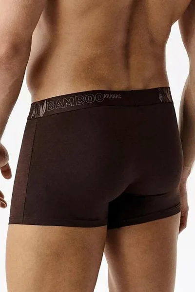 3 PACK boxerky 3MH-231 - bambus - Vínově-červená