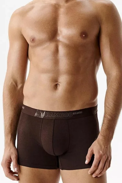 3 PACK boxerky 3MH-231 - bambus - Vínově-červená