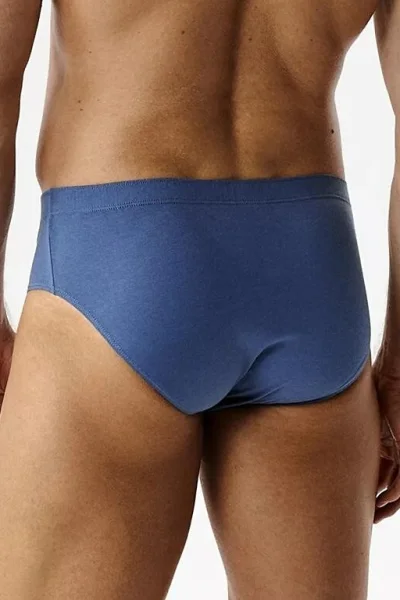 5 PACK slipy 5SMP-003 - multipack - Modrá