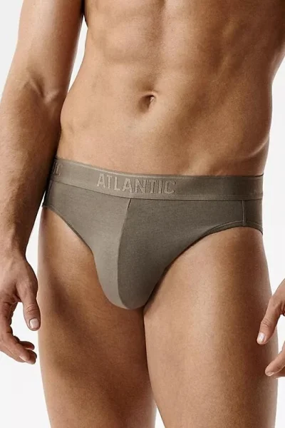 2 PACK slipy 2MP-1590 - micromodal - Tmavě béžová