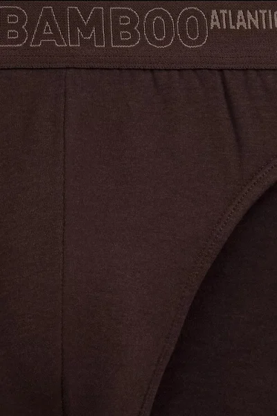 3 PACK slipy 3MP-213 - bambus - Béžová