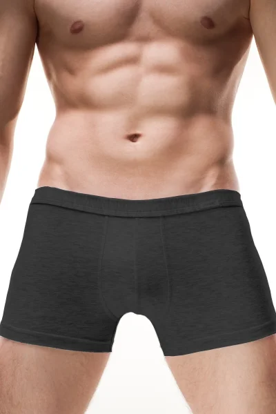Pánské boxerky Authentic Perfect Mini - Grafit
