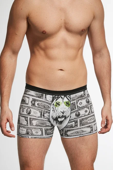Pánské boxerky Tattoo 280/167 Dollars - Šedá