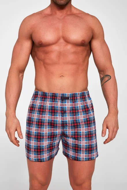 Pánské trenky 008/206 Maxi Comfort - Mix barev