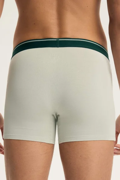 3 PACK boxerky Able - Zelená