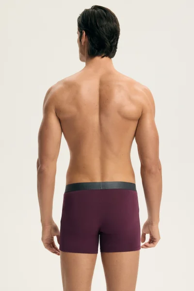 3 PACK boxerky Arch - Barevná