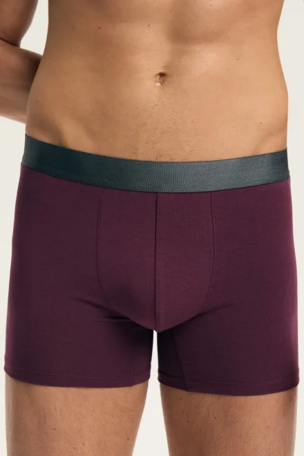 3 PACK boxerky Arch - Barevná