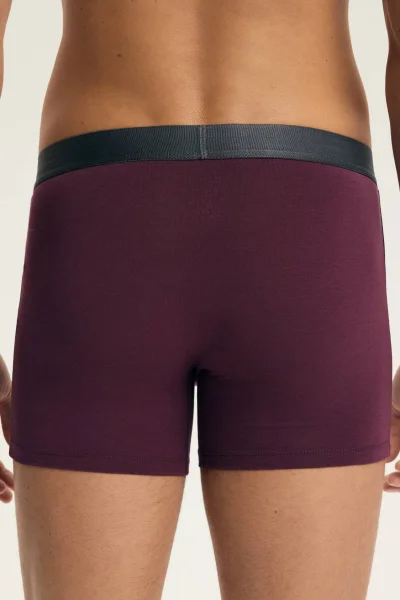 3 PACK boxerky Arch - Barevná