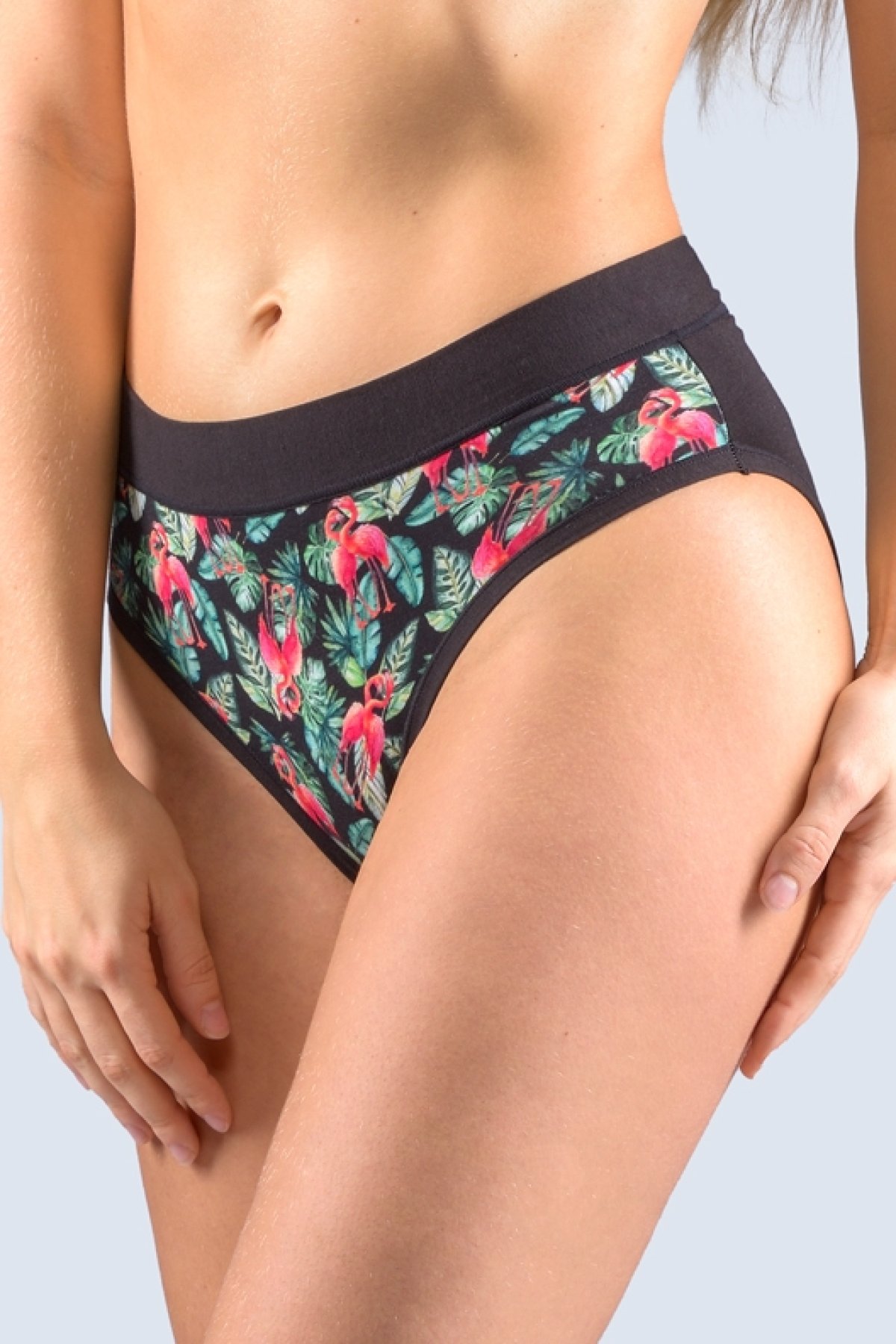 Kalhotky Gina 10268P - barevné Černá M/L