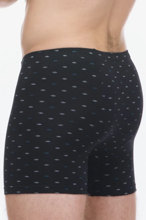 Pánske boxerky 74180P - delší nohavička