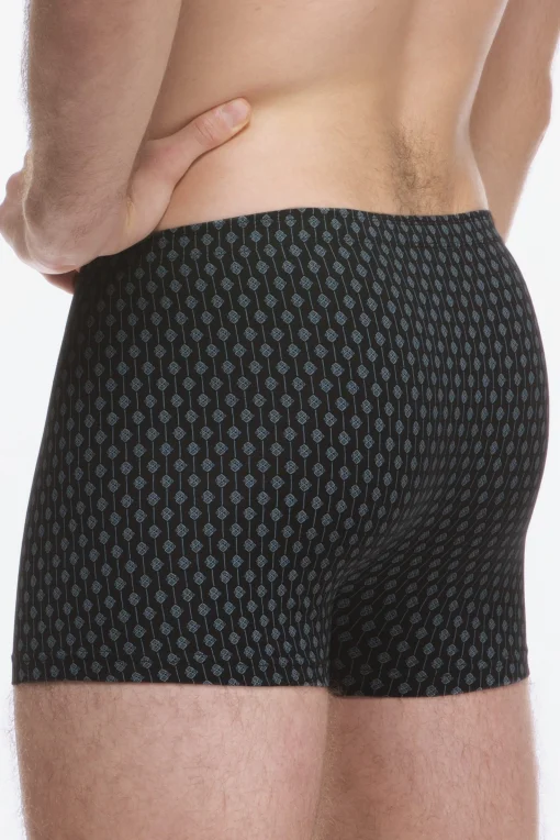Pánske boxerky 73136P