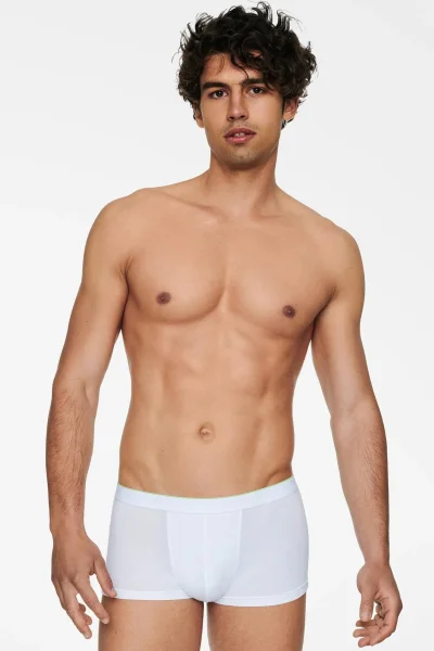 Pánské boxerky Graph Basic - bambus - Bílá