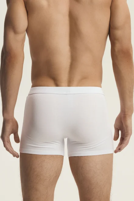 Pánské boxerky Main 42971 - 3 PACK - Bílo-šedá