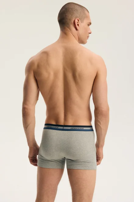 2 PACK boxerky Far - bavlna - Modro-sivá