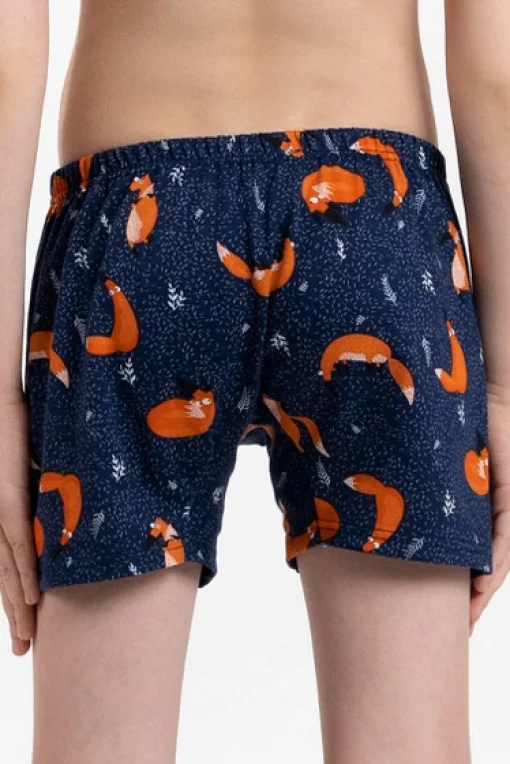 Chlapecké boxerky Witalis