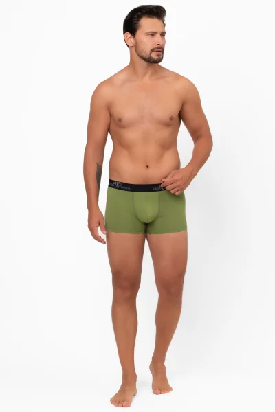 GRE Pánské boxerky Aleksander - Zelená