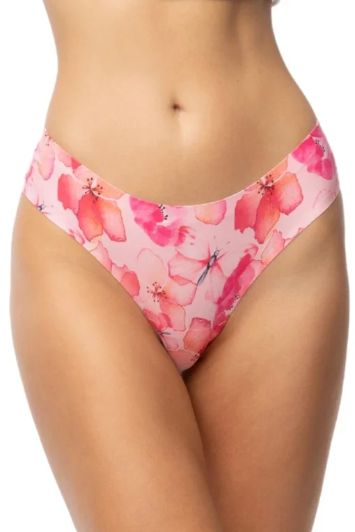 Brazilky Mallow