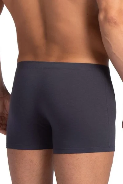 2 PACK boxerky M-BAM 893 SZ - bambus - Šedo-černá