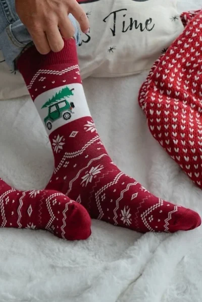 BOR Pánské ponožky 1290-030 - auto - Bordó