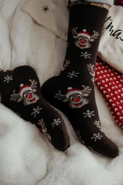 Pánské ponožky 1290-033 - veselý sob - Tmavě hnědá