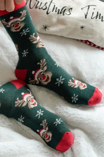 Pánské ponožky 1290-033 - veselý sob - Tmavě zelená