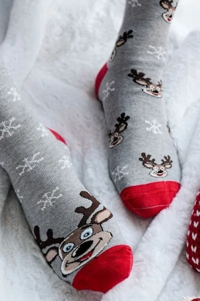 Pánské ponožky 1290-039 - sobíci - Šedá