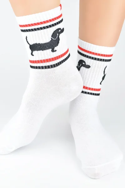 Dámské ponožky SB153 - jezevčík - Bílá