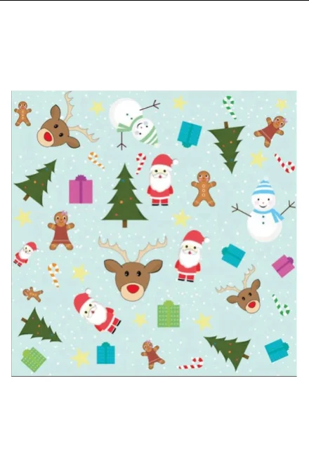 Dárkový pytel XPKD - 92 x 110 cm Christmas Maxi - Mátová
