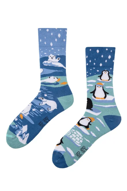 Unisex ponožky Arktida - Barevná